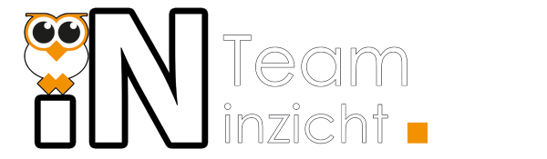 teaminzicht logo trans wit